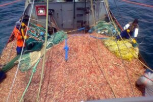 Crisis histórica en la pesca: más de cien buques paralizados