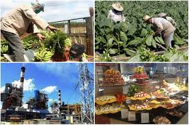 Gobierno de Cuba someterá a consulta popular su programa para reimpulsar la economía