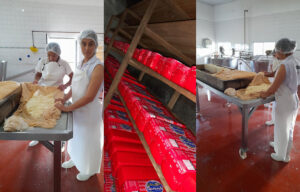 Recorren 250 kilómetros diarios para recolectar leche