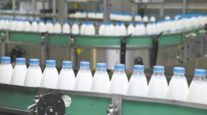Lácteos Verónica ya tiene a sus tres plantas industriales paralizadas por incumplimientos salariales y falta de leche para producción