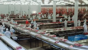 ATACAN A LOS TRABAJADORES/Crisis en los frigoríficos: el creador del Paty frena la faena y suspende a 450 empleados