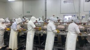 MIENTRAS LA CARNE SIGUE AUMENTANDO/Se profundiza la crisis en los frigoríficos: salarios impagos, suspensiones masivas y plantas al borde del colapso