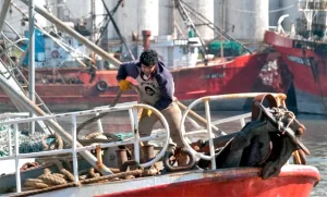 Marinos reclaman exclusión en la reforma laboral y advierten: “Destruirá empleo registrado”