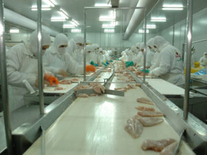 LOS CIERRES DE EMPRESA NO VAN A PARAR/Granja Tres Arroyos, el mayor frigorífico avícola del país, al borde del cierre por la importación de pollo brasileño: 450 puestos de trabajo en riesgo