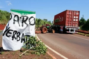 Misiones: productores de yerba reclaman mejoras en el precio y resolvieron parar la cosecha