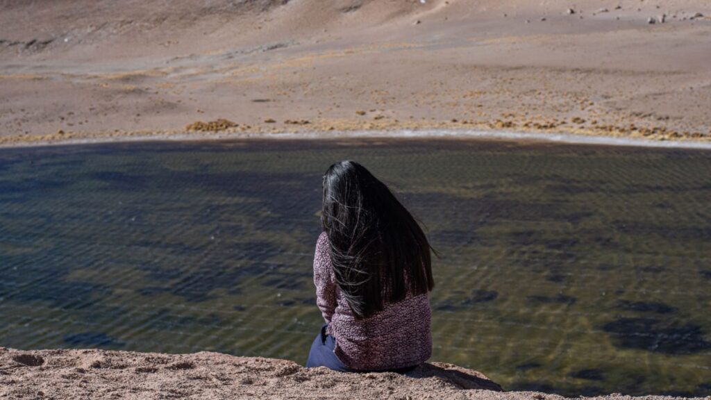 Extracción de litio en la puna catamarqueña/La hija del salar