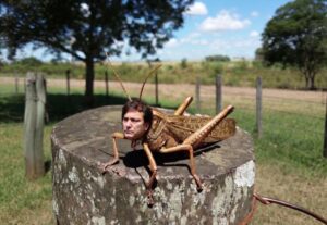 AHÍ VIENE LA P.L.A.GA