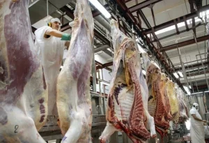 Crisis alimentaria 2026: El impacto de la desaparición de 22.608 empresas en el sector