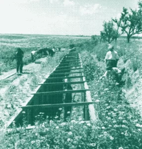 MOTOR/HISTORIA/La audaz estrategia soviética que permitió cultivar frutas tropicales a -30°C