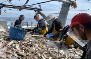 Marítimos en alerta: denuncian riesgo de despidos masivos y quiebra de pymes