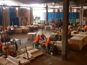 Conflicto en Misiones: cierra una maderera, vacía su planta en secreto y deja a 130 familias en la calle