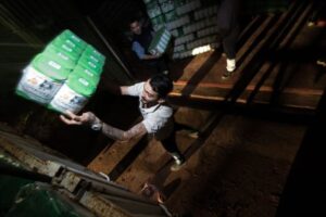 Cumplen 40 años impulsando yerba mate agroecológica