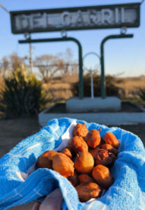 SALADILLO CELEBRA SUS 163 AÑOS Y SE PREPARA PARA LA PRIMERA FIESTA DEL BUÑUELO ARTESANAL
