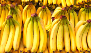 El Gobierno desreguló una normativa clave que protegía a Salta y Jujuy de la importación de bananas