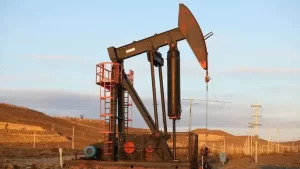 Santa Cruz: paro general petrolero paraliza los yacimientos contra los despidos y el vaciamiento empresarial