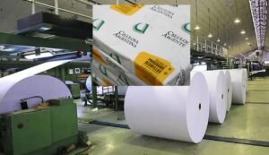 Celulosa Argentina pagó solo la mitad de los salarios de agosto y la producción sigue paralizada en Capitán Bermúdez y Zárate